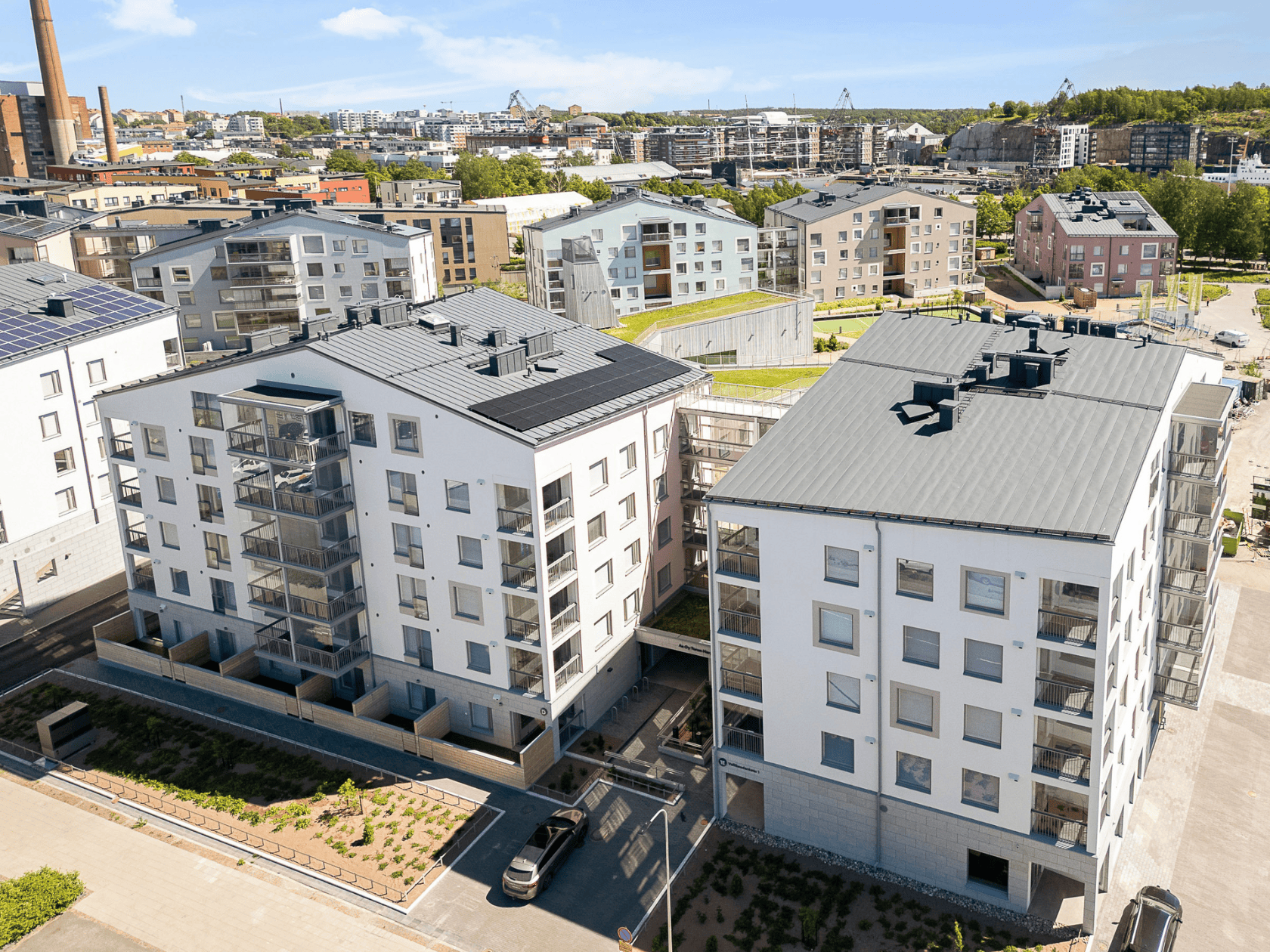 Mangrove AS Oy Turun Harppuunan Kippari